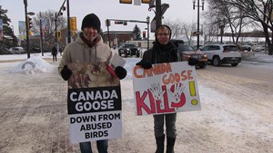 Latest Update: National Anti-Fur Day