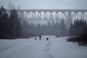 Edmonton Notes for March 3, 2019