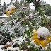 Simple Suggestion #278... Change for Climate