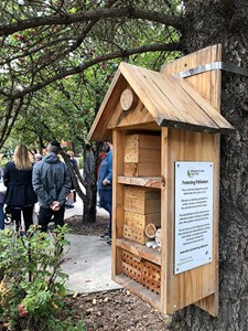 Recap: Urban Beekeeping Tour at MacEwan University