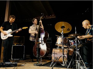 International acts bring wide-ranging musical permutations to Edmonton Jazz Festival