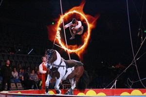 Experience Magic Under the Big Top with the Royal Canadian Family Circus SPECTAC! 2018 {Discount Code!}
