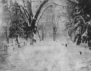 Artist-in-Residence Update: Candace Makowichuk
