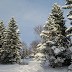 December wonderland