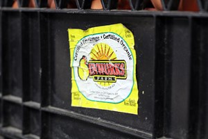 Farm to Table: Sunworks Organic Farm