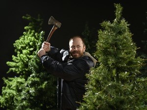 10 things to do in Edmonton this week: Oh! Christmas Tree, Lutra Lutra, and The Willows