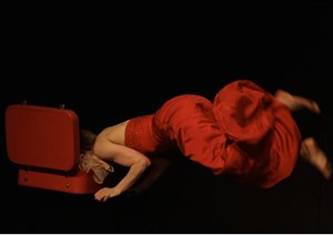 Sara Does A Solo: Multidisciplinary Mile Zero Dance show tackles motherhood, aging and identity