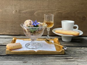 Tiramisu Ice Cream: A New Favourite Recipe Summer of 2020