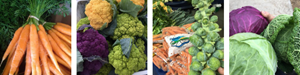 Feature Vendors: November 17, 2018