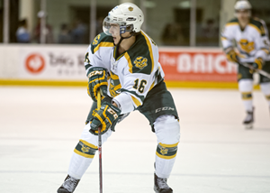 Quick goals end Bears regular season with win