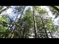 A Mother Earth Mother's Day