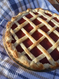 Rhubarb Pie