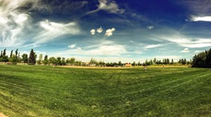 A beautiful day of baseball at Strathcona Athletic Park.