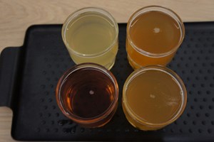 33 Brewing Experiment