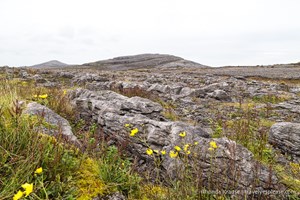 Hiking in Burren National Park- An Unexpected Landscape in Ireland