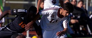 Griffins salvage point after late Schepian goal