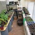 Scratching the gardening itch...