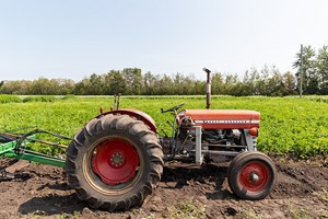 Open House: Sundog Organic Farm