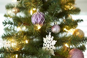 Decorate the Christmas Tree and Hall - Nov 22, 2018
