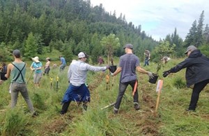 Edmonton’s Urbanism Headlines: July 21 – 27