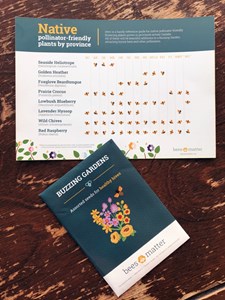 Planting for Honey Bees During National Planting Week!
