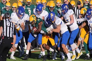 Golden Bears blitzed by Birds