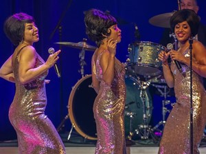 The List: Edmonton concerts, arts and culture, Jan. 28-Feb. 5