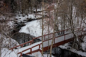 A Winter Walk in Mill Creek Ravine