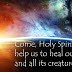 Laudato Si Sunday Reflection: So many vanities