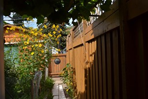Coming to Canada: A Gardener’s Meditation, Part 1