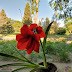 Patience for something beauty-full
