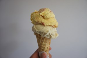 Rooster’s Ice Cream Bar
