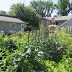 2019 garden report