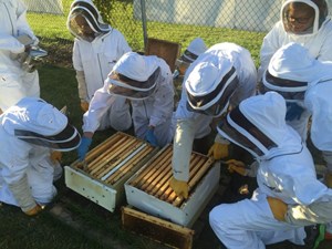 Northlands Youth Beekeeping Club