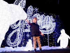 Canada's largest indoor Christmas lights show to glow in Edmonton area over the holidays