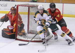 Golden Bears battle Dinos for the Hardy Trophy