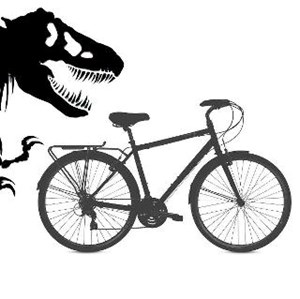 Bike to the Symphony 2013: John Williams