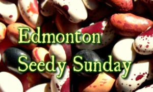 Edmonton Seedy Sunday