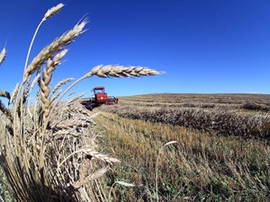 U of A researchers make discovery that has impact on climate change research
