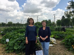 'Powerful and potent': Big Edmonton food buyers team up to buy local