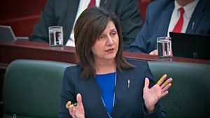 New K-4 school curriculum field testing paused while government reviews work