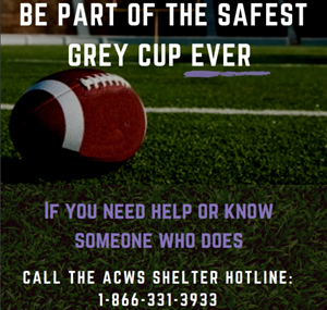Edmonton organizations work to prevent domestic violence spike during Grey Cup